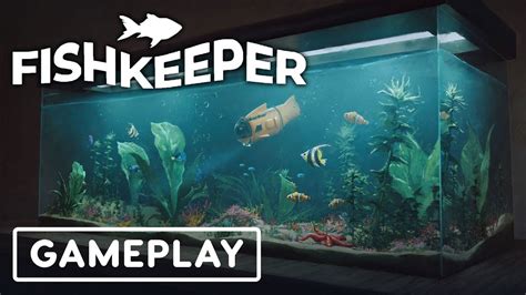 aquarium game pc|aquarium builder game.
